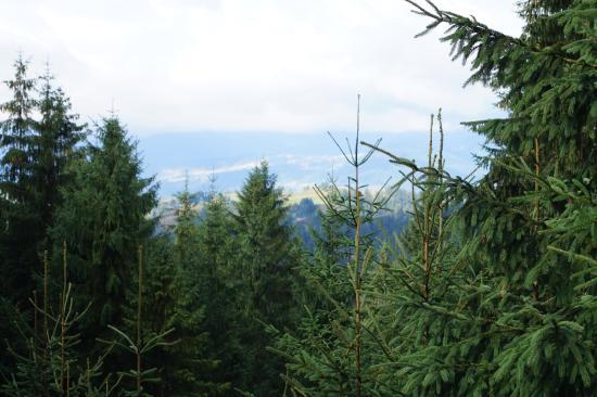 Яблуницький перевал